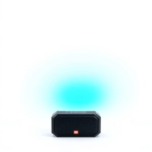 Portable Bluetooth Speaker